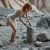 The Royal Gold Mines (44)